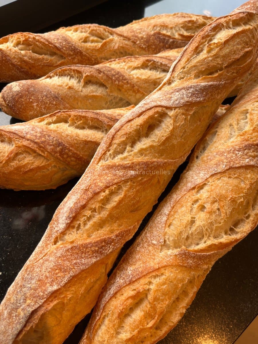 Baguette Levain